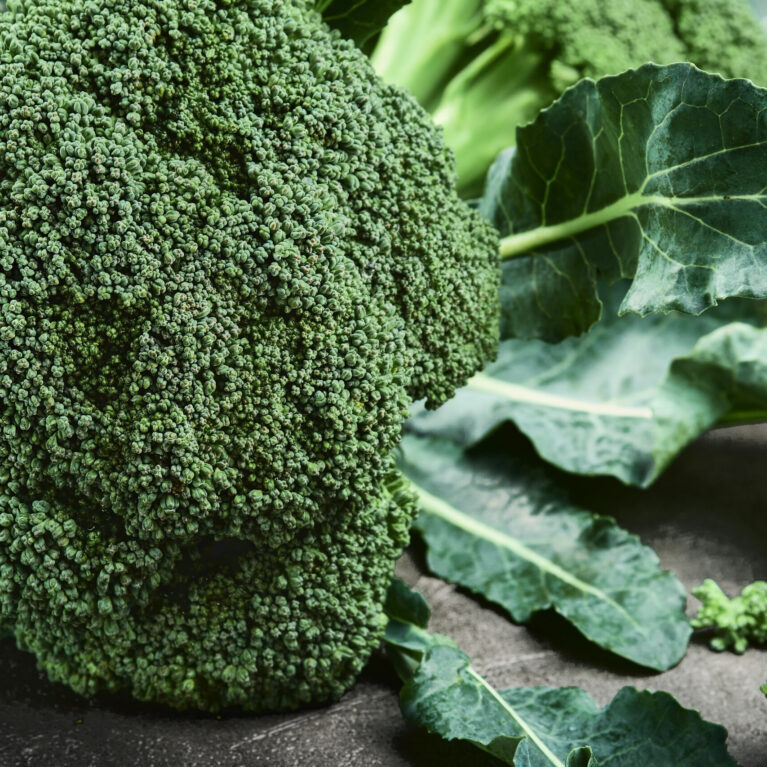 Fresh green broccoli, bright on a gray background. Close-up, selective focus. Healthy food, green fresh vegetables